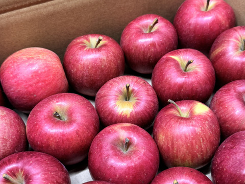 ★すぐに出荷★【加工用バラ詰め】極小玉のシナノスイート!! ジュース、スイーツ、コンポート、すりおろし林檎　加工用・業務用🍎約2.7Kg青森県産