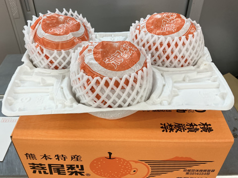 数量限定】見て大きさにビックリ‼️食べて甘さにビックリ‼️✨厳選✨甘