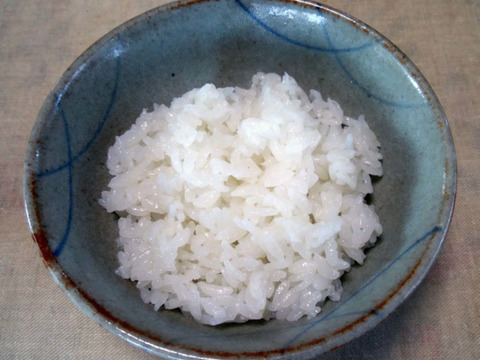 新米】「にこまる」(白米10kg) 農薬除草剤不使用の特別栽培米：福岡県