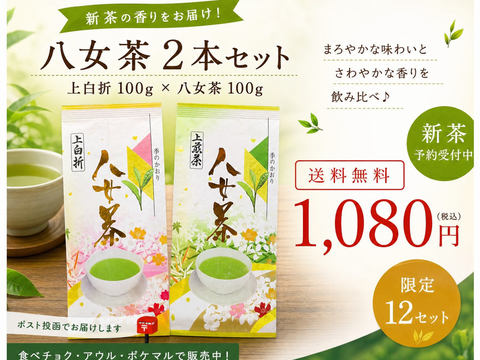 【新茶予約】八女茶 煎茶＆白折100g×2本セット｜農家直送・送料無料｜はじめての方におすすめ
