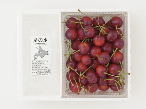 早生紅佐藤錦500ｇ【予約販売】北海道・芦別産【大橋さくらんぼ園】