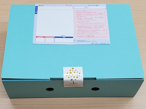 朝摘みフレッシュ！とちおとめ【２パック】