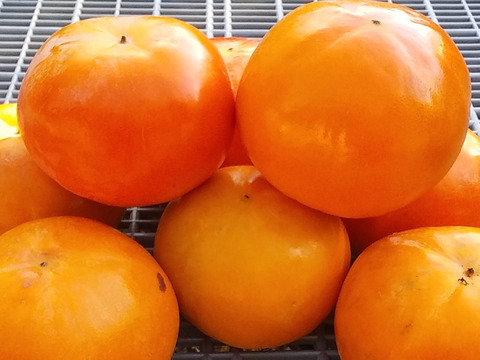 [訳あり】富有柿糖度13度ＳMＬ混在(4㎏)和歌山九度山産