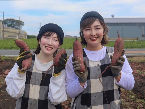 完全天日干し！だるまやさんのほしいも 平干し180g×4袋