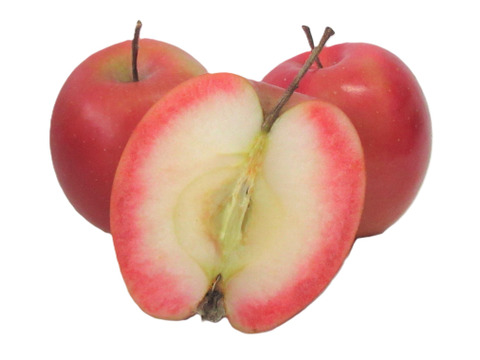 【超希少品種】果肉まで赤～いりんご『栄紅』超かわいいサイズちょっとB品18個(約2kg)