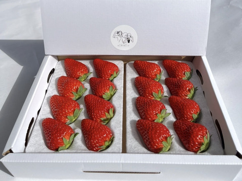 濃厚な味わい紅ほっぺ250g×4p