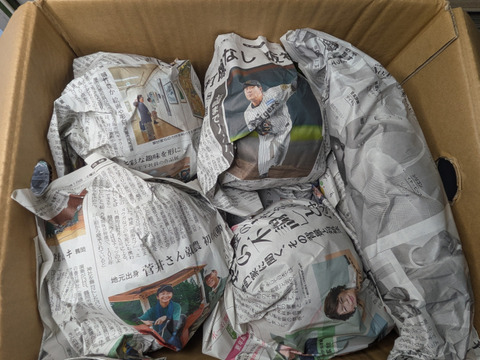 キャベツ、ダイコン、リンゴ