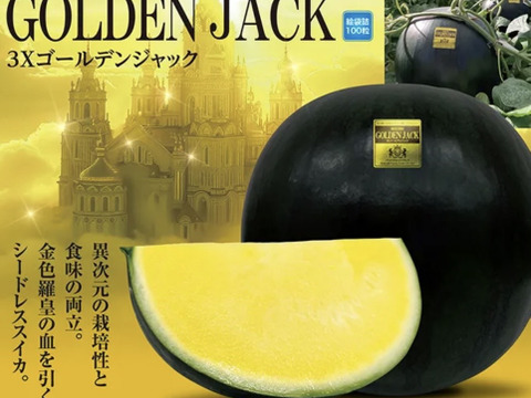 予約商品販売開始！6月18日頃から発送種無し西瓜ゴールデンジャックスイカ2Lサイズ1玉