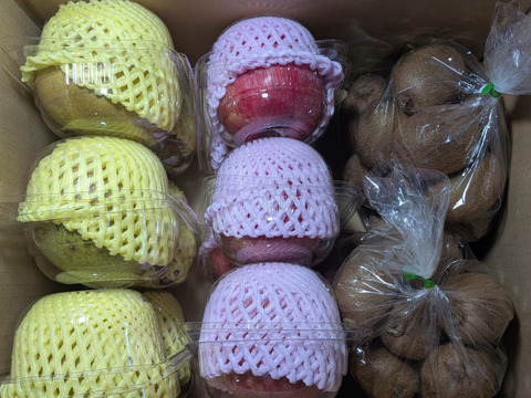 キウイ、リンゴ、ラ・フランスの箱詰め