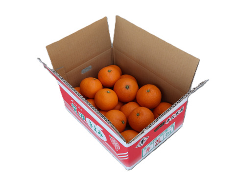 農家直送！きよみオレンジ　5kg  【平武農園】〜蛍飛ぶ町から旬の便り〜　和歌山｜有田｜田口｜ギフト