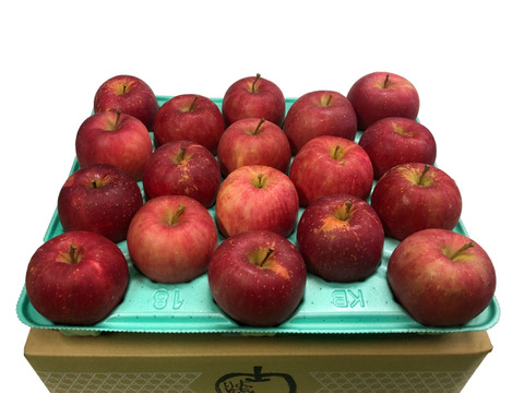 ほのか（早生ふじ）🍎家庭用約2.7Kg🍎青森県産　数量限定