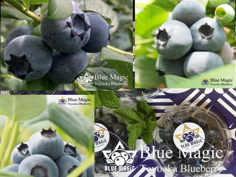 人気上昇！大粒国産ブルーベリー風味豊かなトワイライト110g×4パック化粧箱入