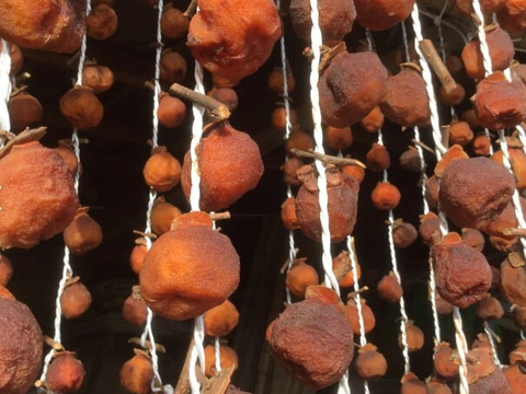 【昔ながらの天日干し】　平核無柿（ひらたねなしがき）の手作り干し柿