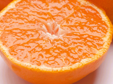 完熟！有田みかん 1kg【プレミアム】