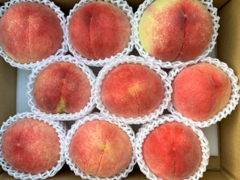 【家庭用】山梨県産　なつっこ　8~9玉