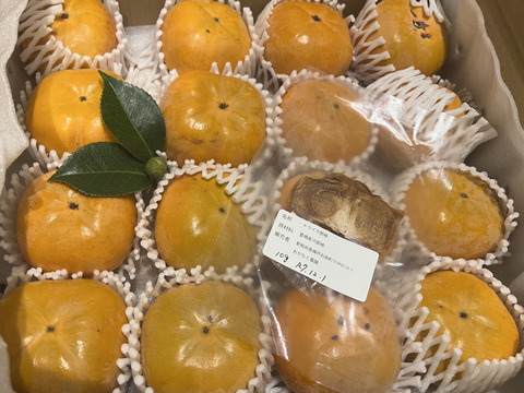 特別栽培の次郎柿 6kg