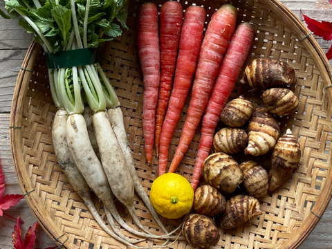 有機JASのお雑煮5種セット❗️【雑煮大根・金時人参・小えび芋・辛味大根・花柚子】お正月をオーガニック野菜で始めよう‼️［発送日12/26、27 限定：到着は遠方以外は翌日］