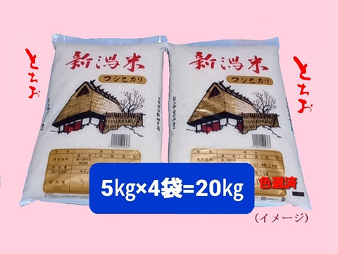 コシヒカリ 20kg 農家直送　精米済み echigo-inahoya_tokusen20k