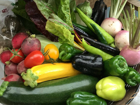旬こそ命!旬の野菜セット*5品目以上=少人数用~農薬/化学肥料・不使用