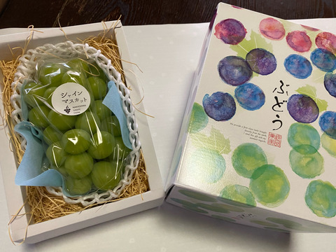 【夏ギフト】　エメラルドグリーンの輝き！矢掛町産シャインマスカット一房箱（約700g）