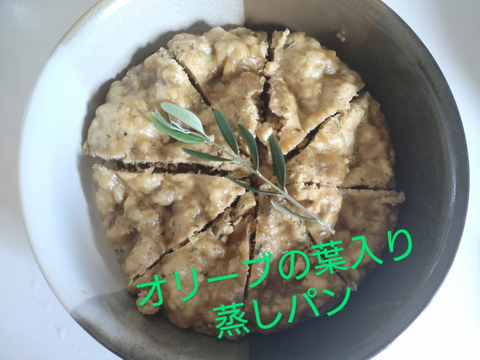 オリーブ生葉300枚 オリーブリーフ🌿オーガンジー袋入り🌿葉っぱ部のみ🌿高い抗酸化、抗菌作用「オレウロペイン」免疫力向上生活習慣病の予防や美肌に☆クッキー、ケーキ、オリーブ茶作り等に☆自然栽培