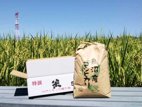 【母の日ギフト】新潟県魚沼産一等米コシヒカリ「たかはし家のお米」（5kg）