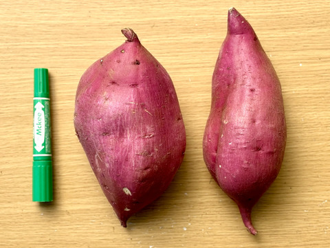 【訳あり】どすこいサイズ「ゆきこまち」  5キロ箱