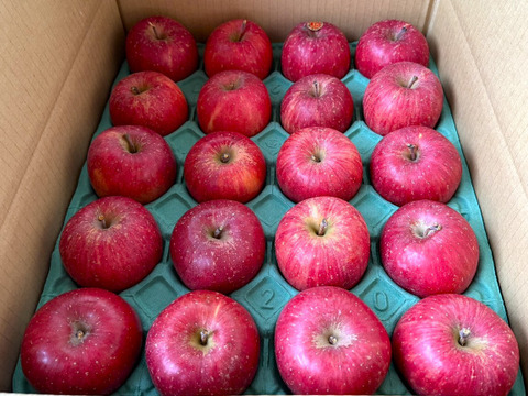 台湾でも高評価！【岩手・紫波長岡果樹園】🍎いわて産特別栽培「サンふじ」5kg（家庭用20玉）