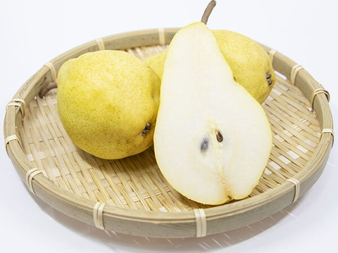 農薬節約栽培】洋梨（バートレット）約1.7kg 1箱5～7玉 早収穫