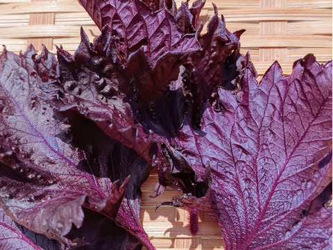 🍑🍑赤紫蘇枝ごと５本つき🌿農薬不使用【数量限定❗❗】子供に食べさせたい野菜（５品目～７品目）😋🍚ばぁばのモノスゴイ野菜🍅🍆🌽