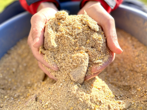 【福袋】🧧【投薬ゼロ】⭐️【夢丸鶏の丸鶏】⭐️種子島カステラ(3本)のクリスマス仕様の限定セット