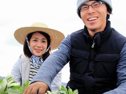 【自然栽培】固定種 野菜セット ナス・オクラ・キュウリ・メロン★農薬・肥料不使用