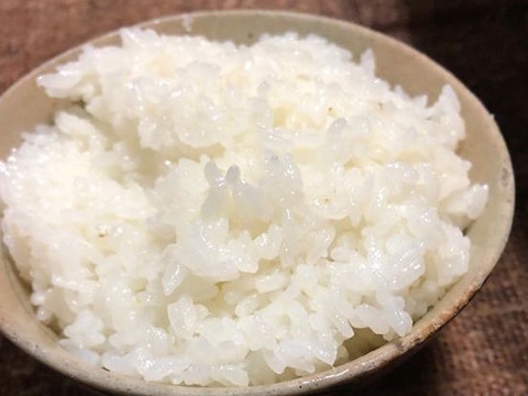美味しいお水豊かな高知のお米！特別栽培ヒノヒカリ（白米・5kg）