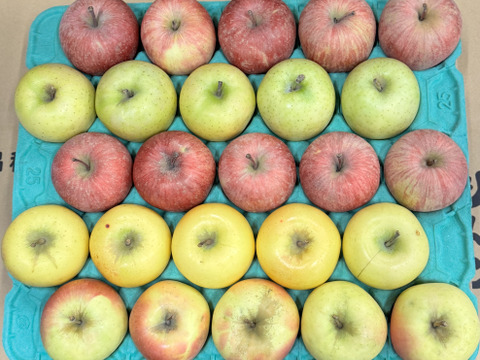 ★選べる４種★オールスター小玉🍎🍏💛💚家庭用約4.5Kg　食べ比べ　サンふじ　王林　シナノゴールド　ぐんま名月　青森県産　数量限定　４種の中から選べる　好きな数　好きな種類