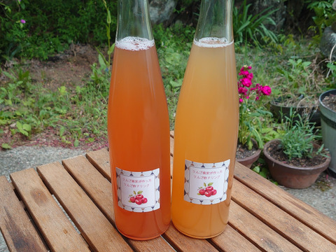 疲労回復など！からだ喜ぶりんご酢