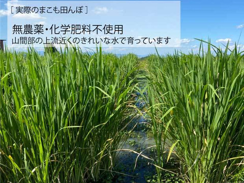 【奈良県産】まこも茶・真菰茶(お徳用サイズ)農薬不使用】 健康茶