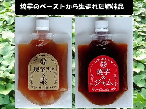 焼芋ラテの素２００ｇと焼芋ジャム２００ｇの詰め合わせ、農薬・化学肥料不使用、６ケ月以上地下室で寝かせて熟成させた大分県産甘藷を使用。