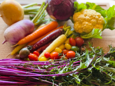 【常温便】レア野菜でキモチをUp！
『お試しS★カラダ喜ぶ初夏野菜セット5品目』