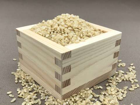 【2024年産】自然栽培のお米『亀の尾』白米２ｋｇ