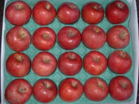 農林水産大臣賞ふじ　5キロ　20～23玉　秋田県からすぐに食卓へ