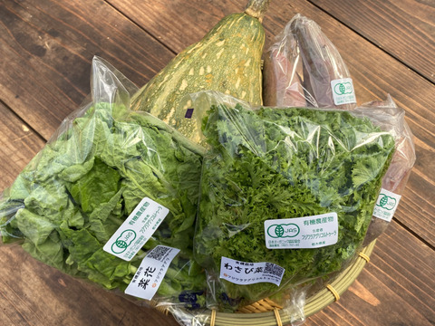 有機JAS認証☆季節のおまかせ野菜セット【約3㎏】