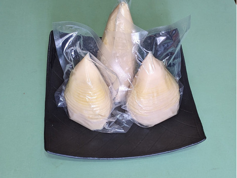 水煮『筍』１.0kg ！朝採りアク抜き茹で筍！丸ごと１～３本を真空パック詰！風味豊か絶品の旨さ