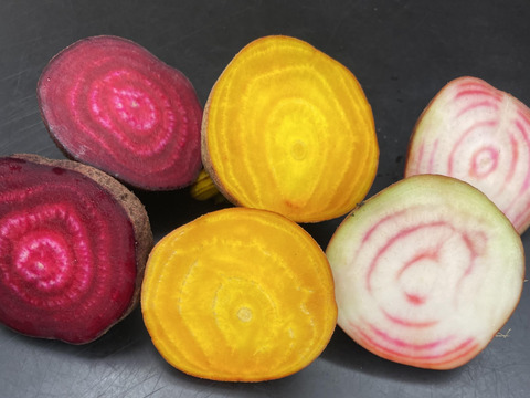 投げ売り【京都産】ビーツ　箱詰めいっぱい約５kg　(3色葉なし２０個以上 )