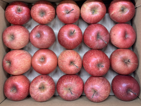 【極小玉・バラ詰め】サンふじ🍎家庭用約2.7Kg🍎毎日りんご　コスパ抜群　青森県産　数量限定