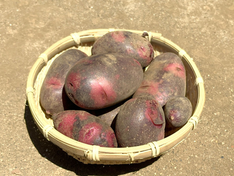 お試しに！赤色じゃがいもの食べ比べセット ２キロ箱