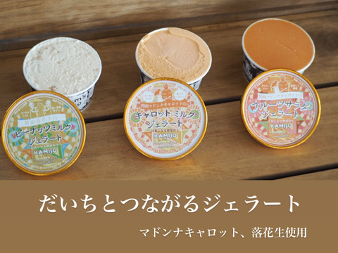 大地とつながるジェラート3種　5個セット(キャロットミルク・ピーナッツミルク・フルーツサラダ)