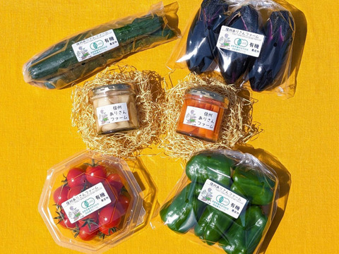 【信州産】季節の有機野菜（４品目）とピクルス（２瓶）のセット