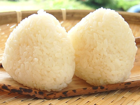 【令和6年新米】ゆふいんのめぐみ“コシヒカリ白米10kg”