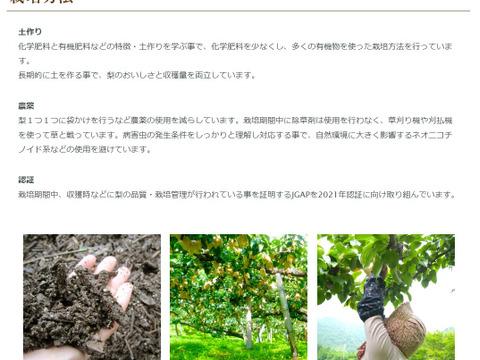 クール便「王秋梨」2.5キロ(4～6玉)たにがみ農園 鳥取県産 みずみずしい 梨 nashi ナシ なし【冬ギフト】