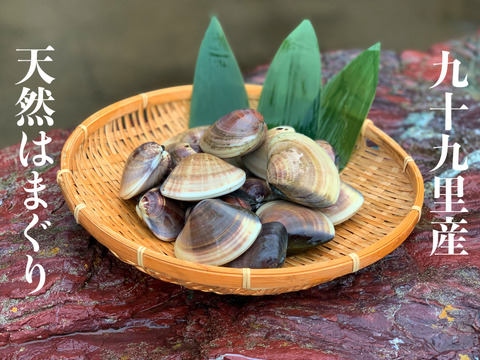 漁師～あなたへ生きたカニセット(^^)並盛 漁師～あなたへ生きたカニセット(^^)並盛